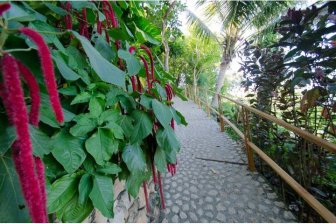 BayView Garden - looppad