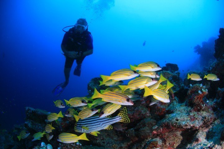 Diving
