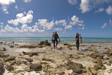 Kantduiken Kantduiken