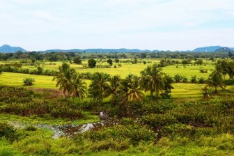 Sri Lanka - Landschap 2