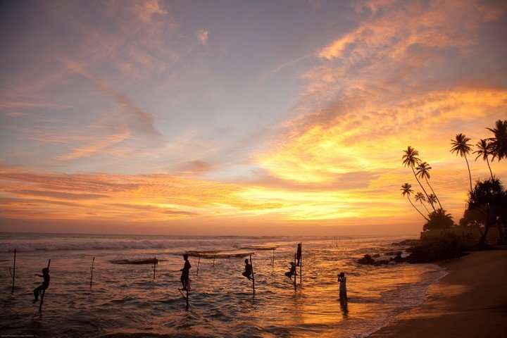 Sri Lanka - stilt fishing