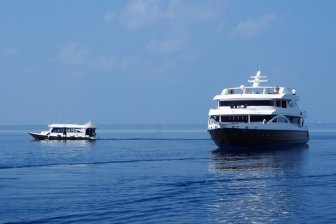 1116 emperor orion & dhoni.jpg