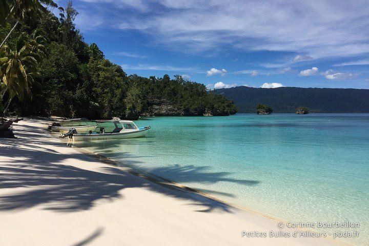 Triton Bay Divers - Dive and Travel