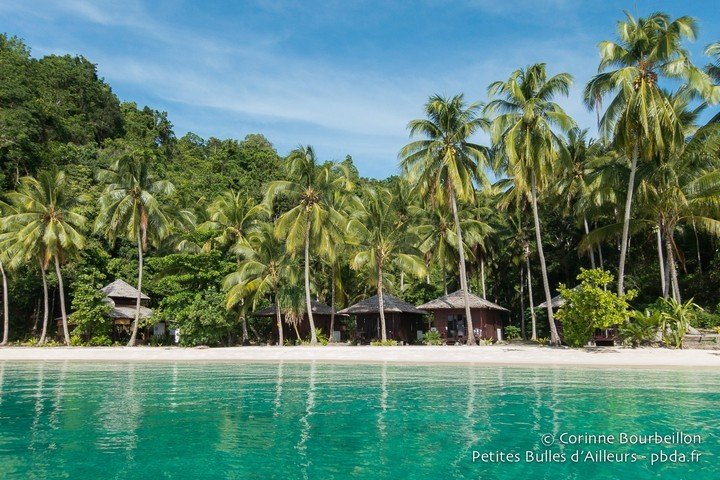 Triton Bay Divers - Dive and Travel