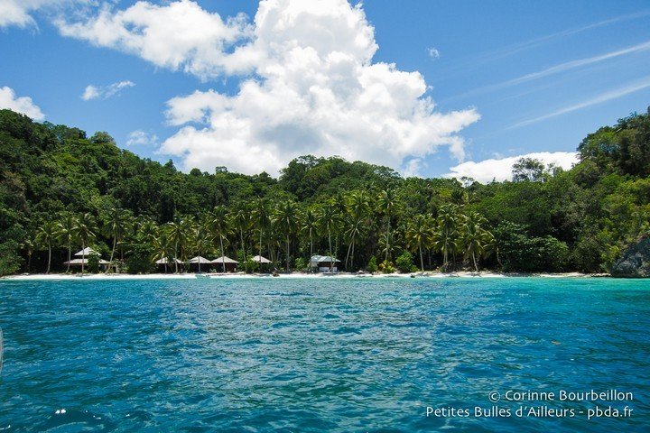 Triton Bay Divers - Dive and Travel