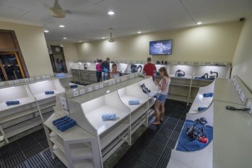 camera_room_lembeh_resort Lembeh Dive Resort-Dive and Travel