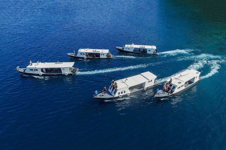 Lembeh Dive Resort-Dive and Travel