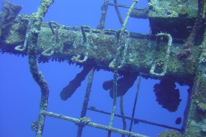 Longimanus - Dive and Travel