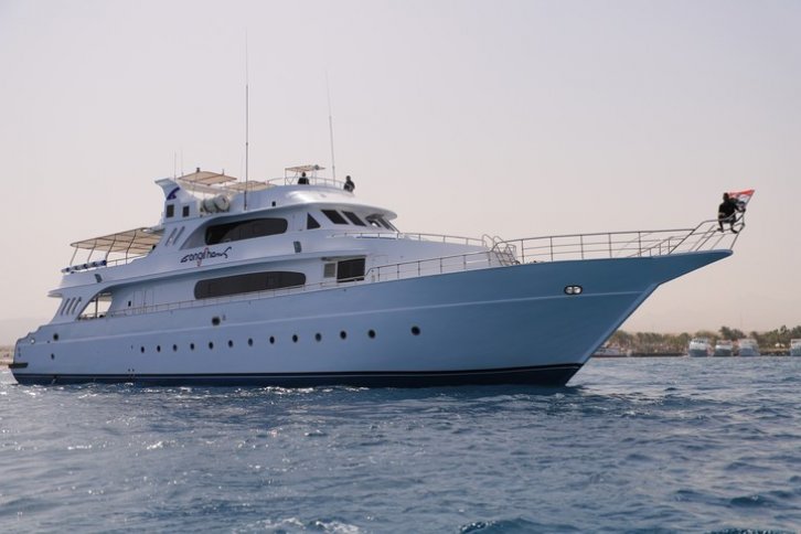 Longimanus - Dive and Travel