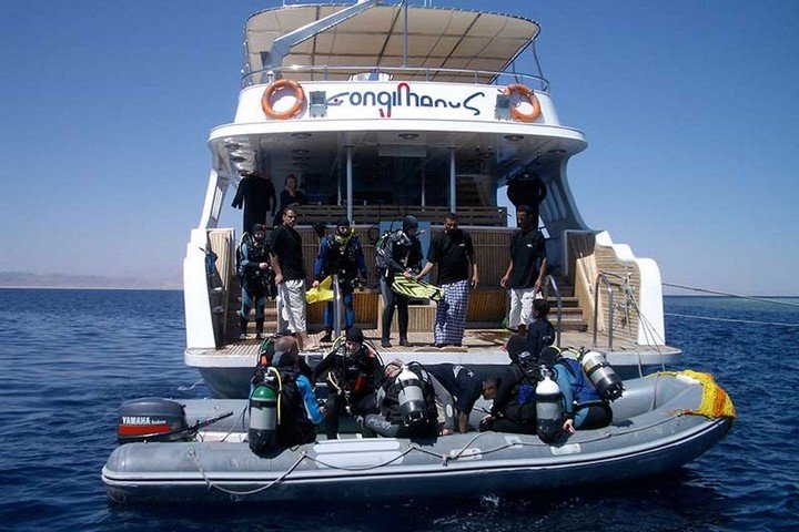 Longimanus - Dive and Travel