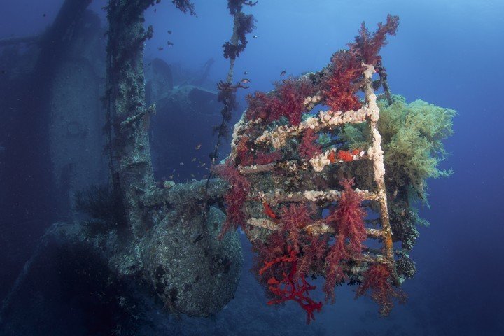 Jordanië - Dive and Travel