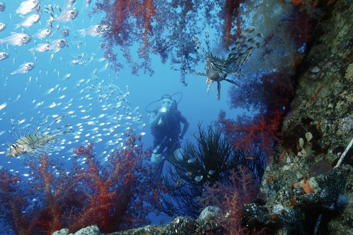 Jordanië - Dive and Travel