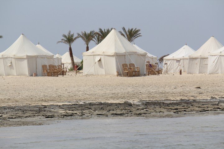 Marsa Shagra - Tent