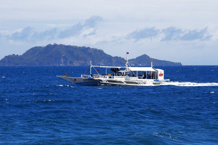 Pura Vida Dauin - Dive and Travel