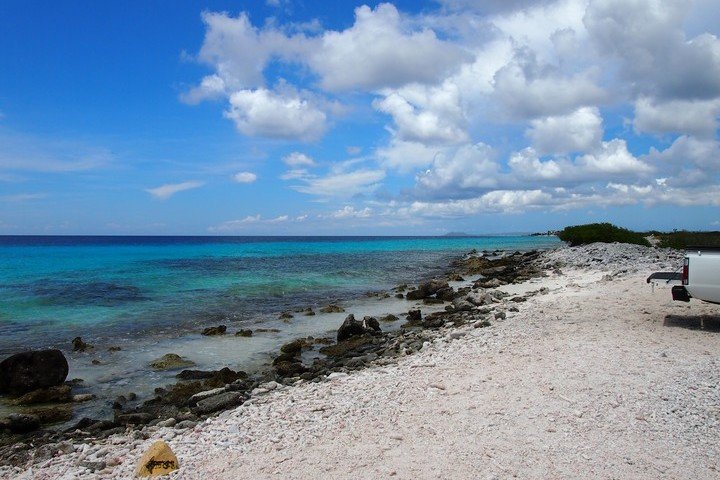 Oasis Guesthouse Bonaire - Dive and Travel