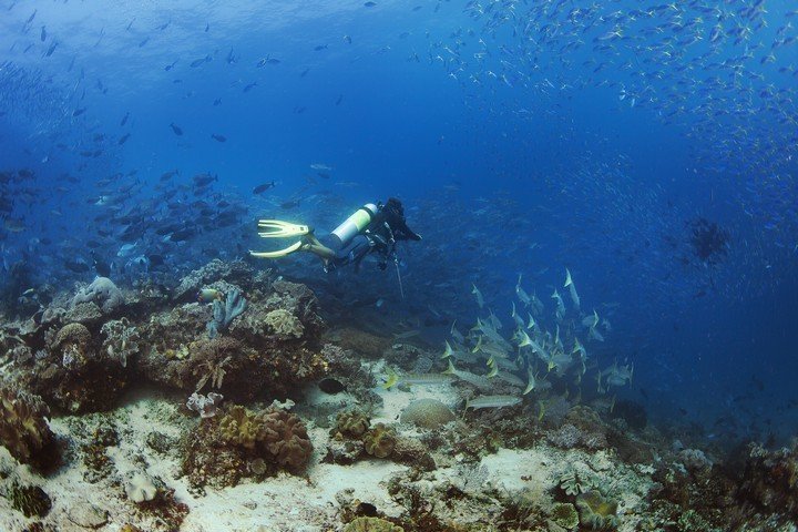 Papua Paradise - Dive and Travel