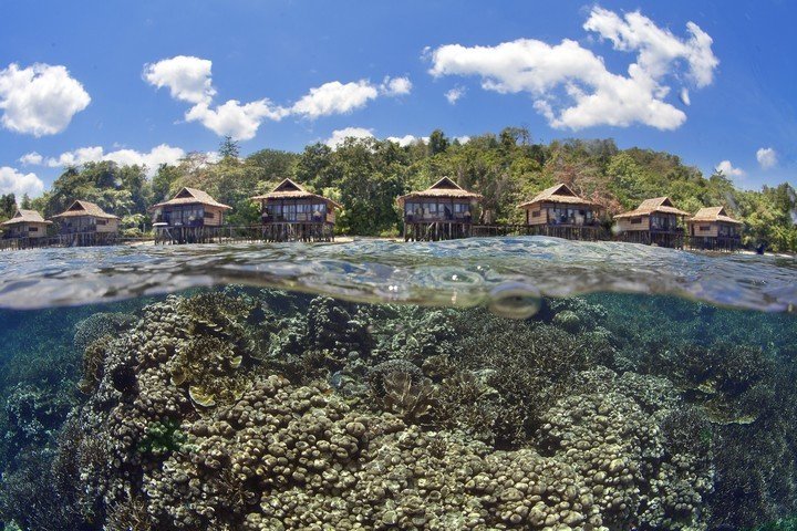 Papua Paradise - Dive and Travel