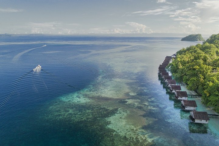 Papua Paradise - Dive and Travel