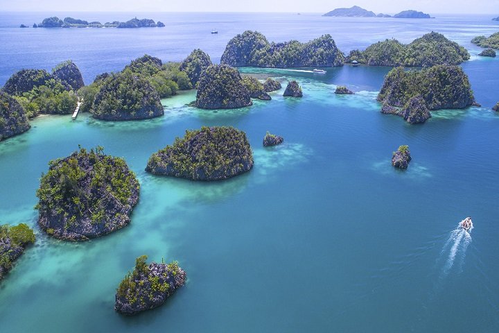 Papua Paradise - Dive and Travel