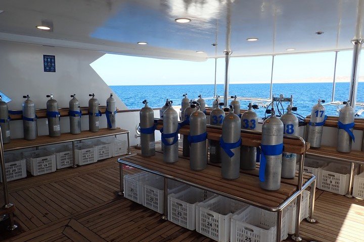 Big Blue Liveaboard duikdek Rode Zee Egypte