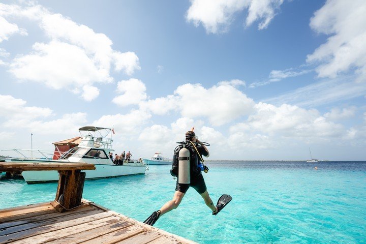 Captain Dons Habitat - housereef dive