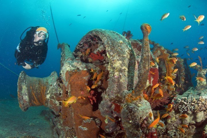 ow big blue liveaboard - wreck