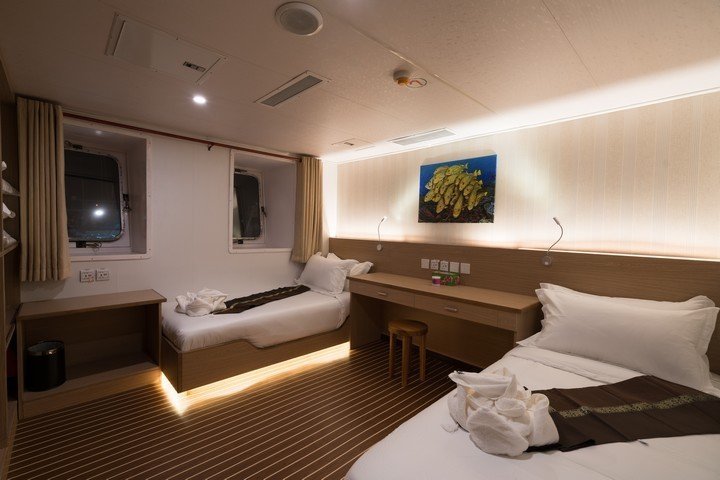 White Manta liveaboard - main deck cabin 3
