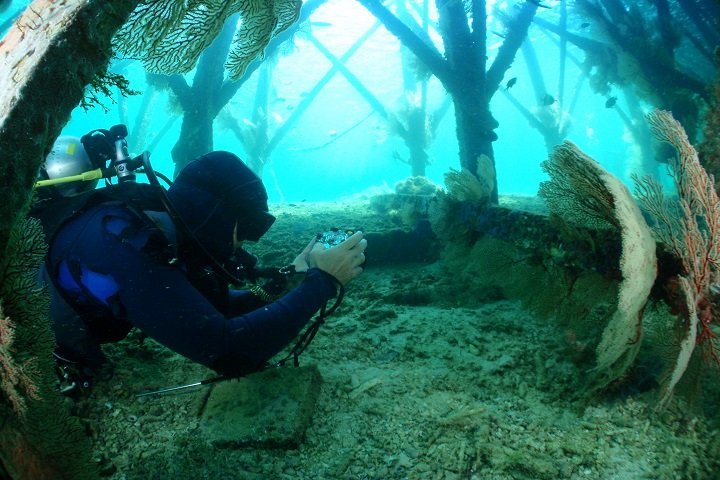 White Manta Cruises - Dive and Travel