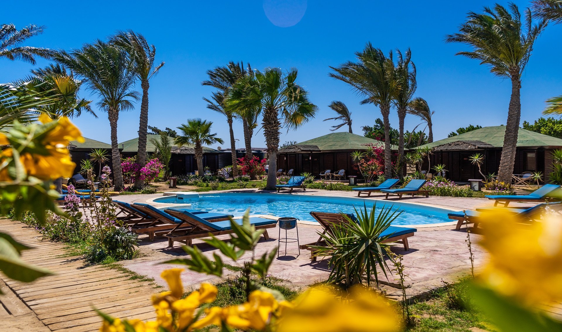 Abu Dabbab - Dive and Travel