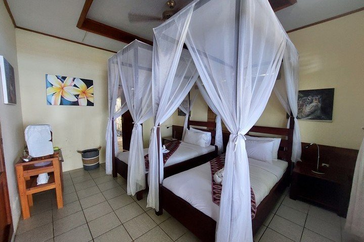 Murex Dive Resort Manado - Dive and Travel