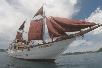 cajoma iv liveaboard Manta Rhei Dive Center - Dive and Travel