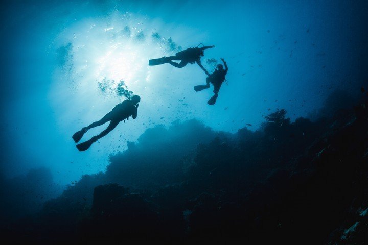 Manta Rhei Dive Center - Dive and Travel
