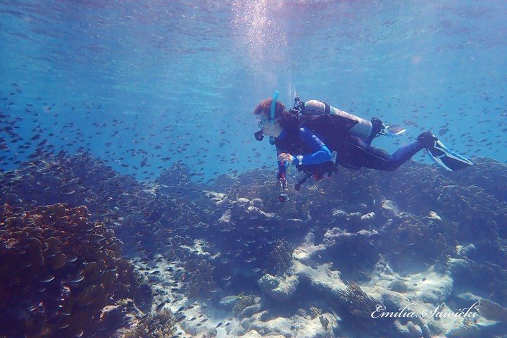 Bezoek Washington Slagbaai Bonaire