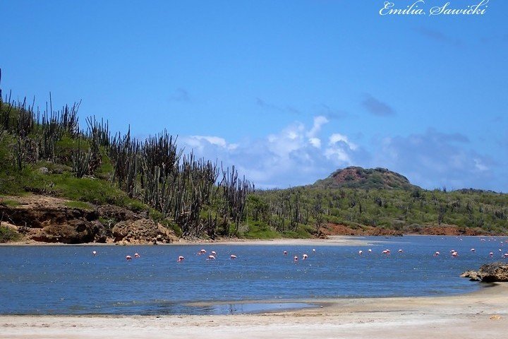 Bezoek Washington Slagbaai Bonaire