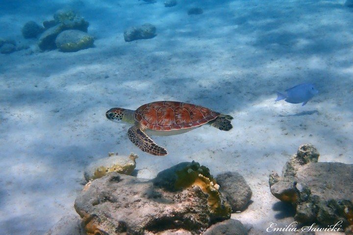 Bezoek Washington Slagbaai Bonaire