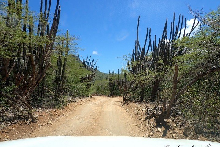 Bezoek Washington Slagbaai Bonaire