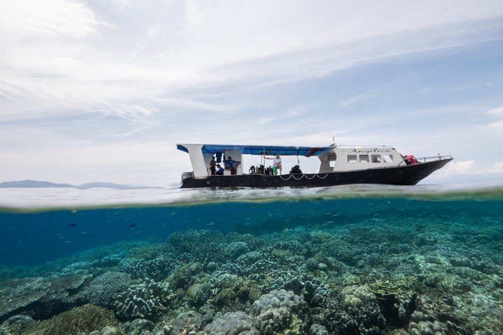 Murex Manado Bunaken reef