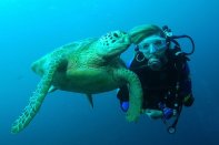 Sipadan Diving - Duiker met schildpad