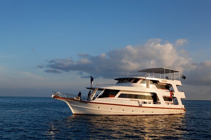 Sheena Liveaboard - Sheena jacht