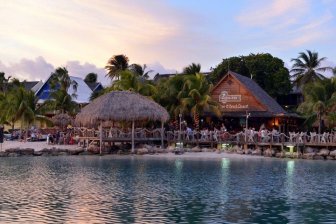 Lions Dive & Beach -