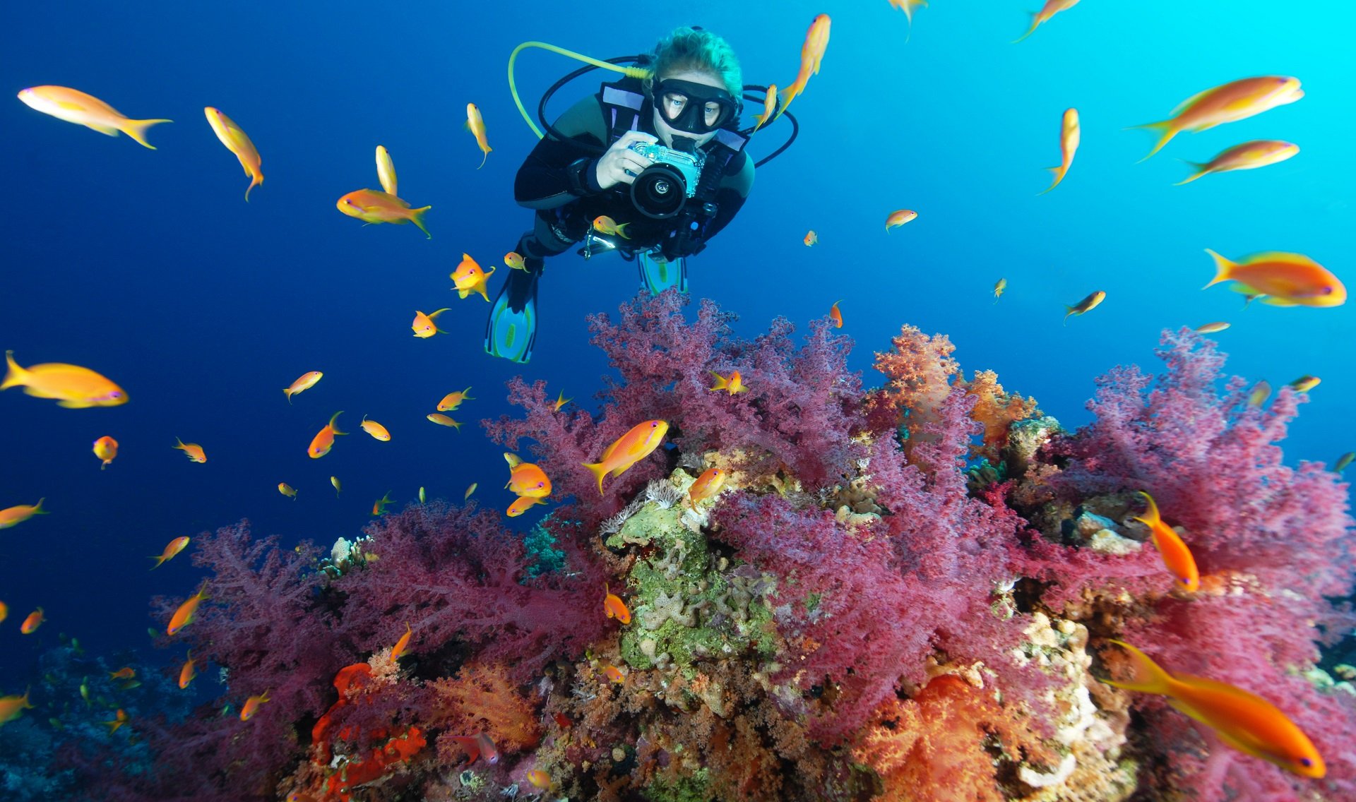 Onderwaterfotografie Dive and Travel