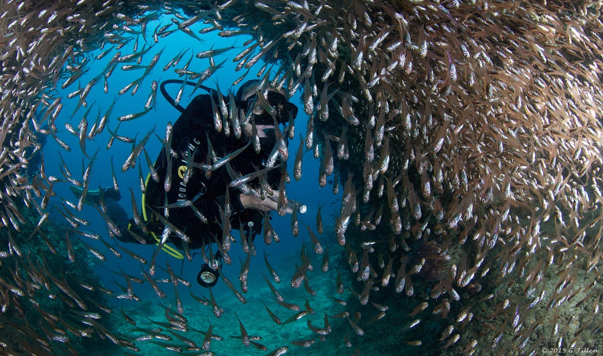 Duiken Triton Bay Divers boek je bij Dive and Travel