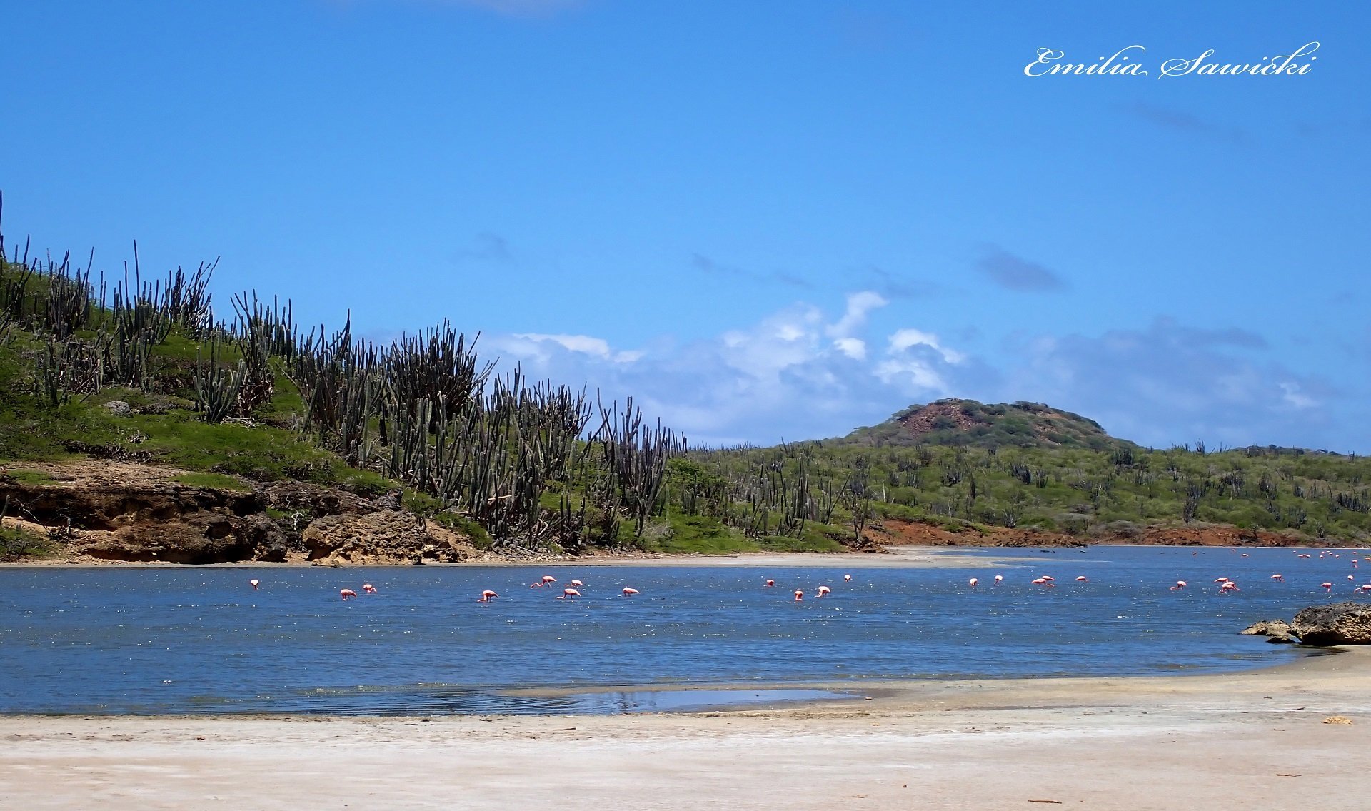 Bezoek aan Nationaal park Washington Slagbaai Bonaire