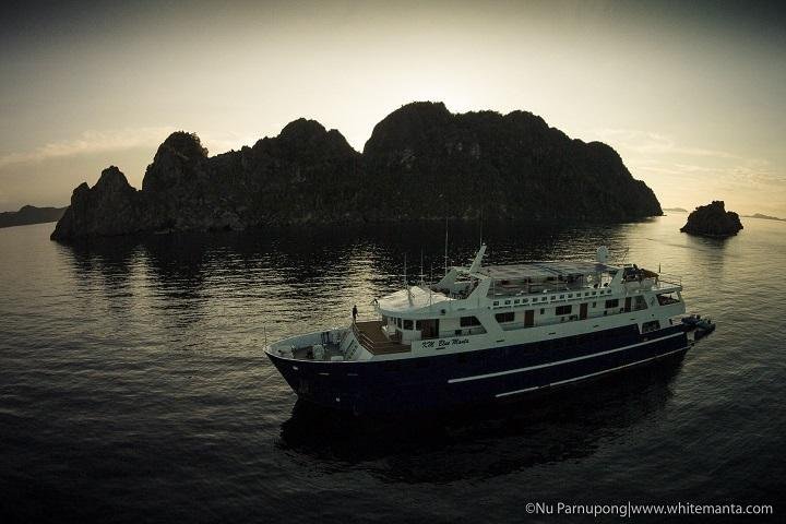 Blue Manta Liveaboard - raja ampat