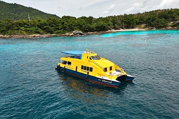 Sea Bees Diving - MC Stingray