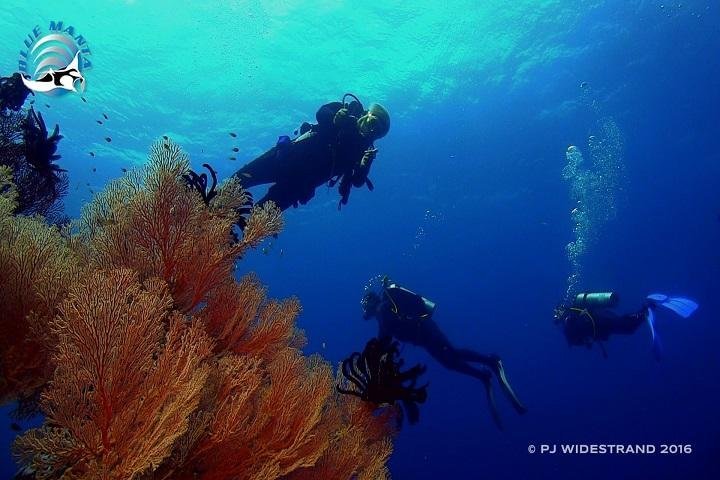 Blue Manta Liveaboard - duikers