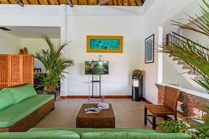 Akaya Bali