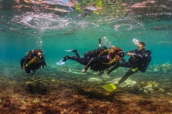 Ritual Dive - divers